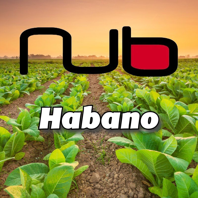 Nub Habano Cigars